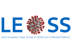 Logo LEOSS with text large